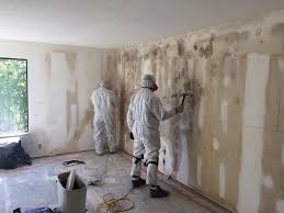 Best Mold Remediation for Healthcare Facilities  in Homewood, IL